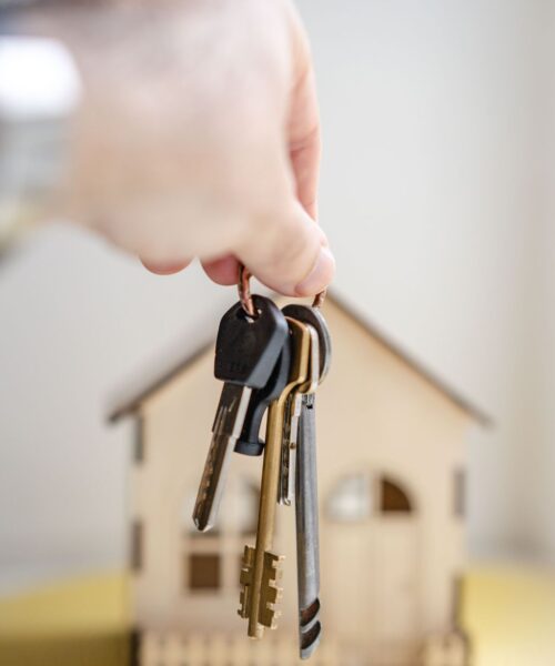 Untitled design (45)